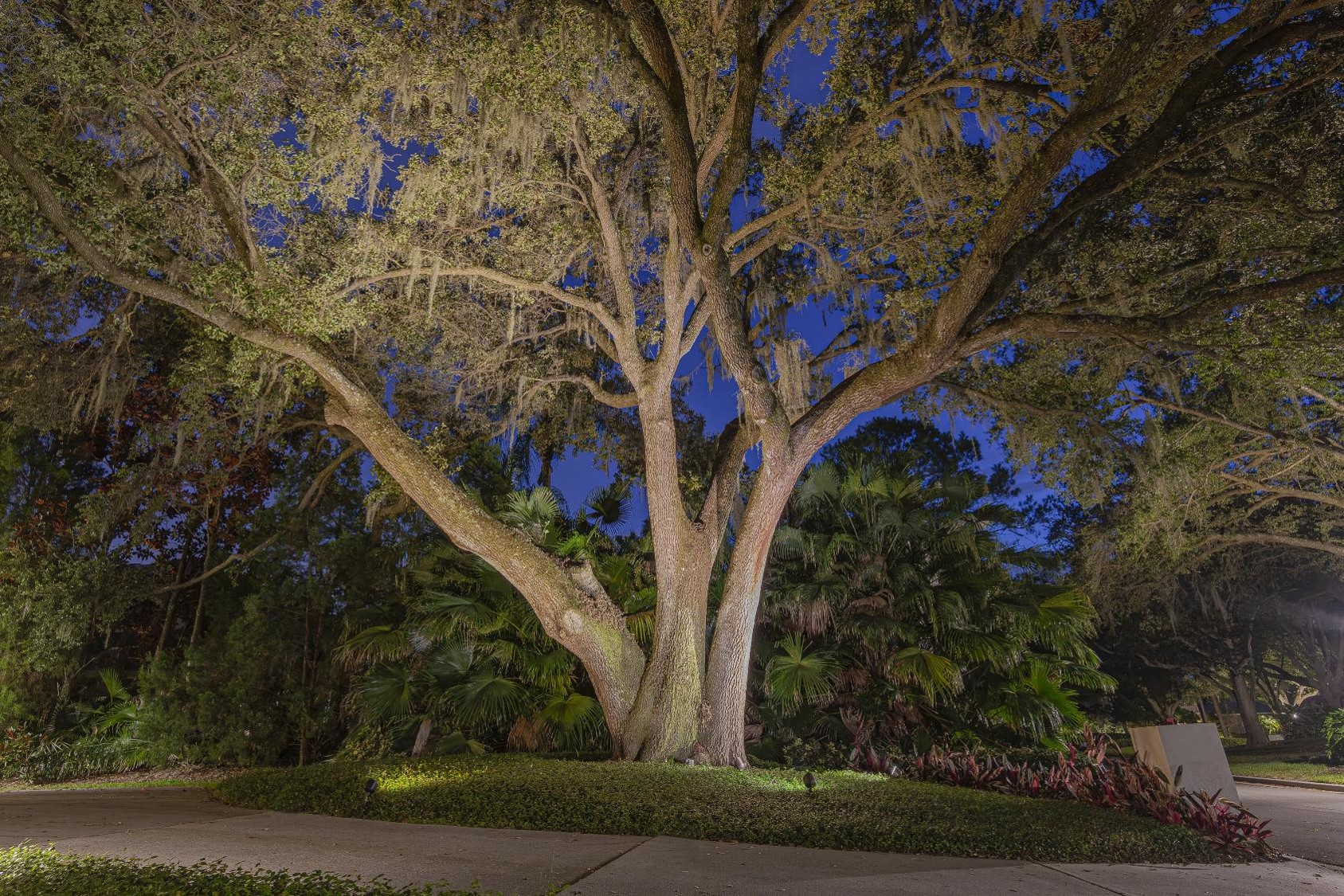 Landscape lighting in a yard